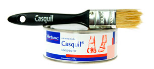 CASQUIL