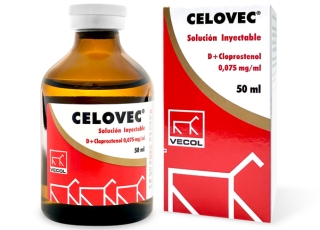 CELOVEC