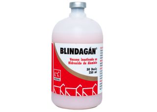 BLINDAGAN