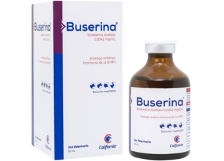 BUSERINA