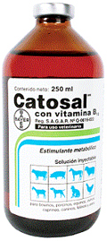 CATOSAL 10% CON VITAMINA B12