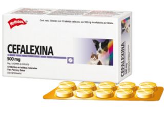 CEFALEXINA 500 MG