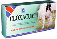 CLOXACUM