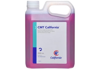 CMT CALIFORNIA