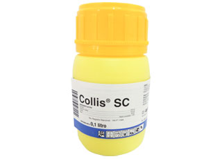 COLLIS SC