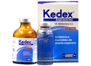 KEDEX