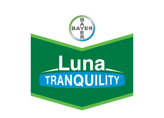LUNA TRANQUILITY