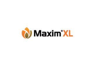 MAXIM XL035 FS