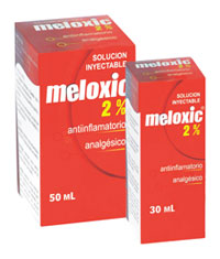 MELOXIC 2%